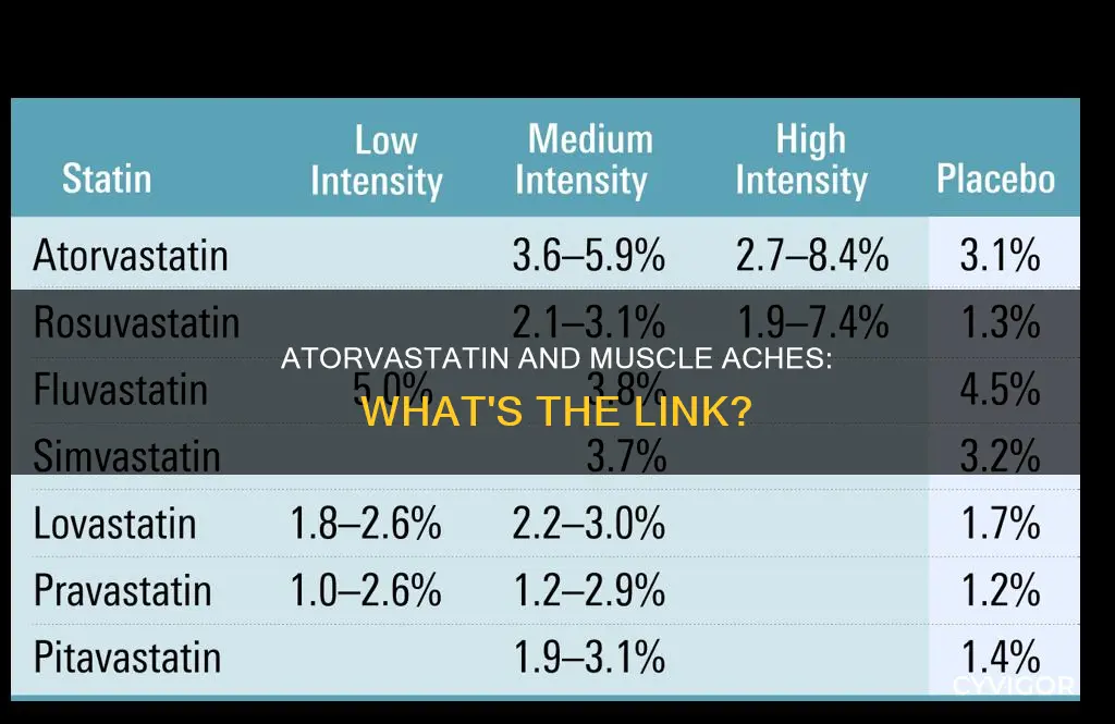 can atorvastatin cause muscle aches