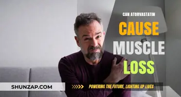 Atorvastatin and Muscle Loss: Is There a Link?
