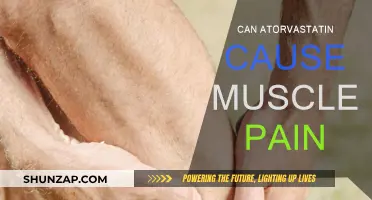 Atorvastatin and Muscle Pain: Is There a Link?
