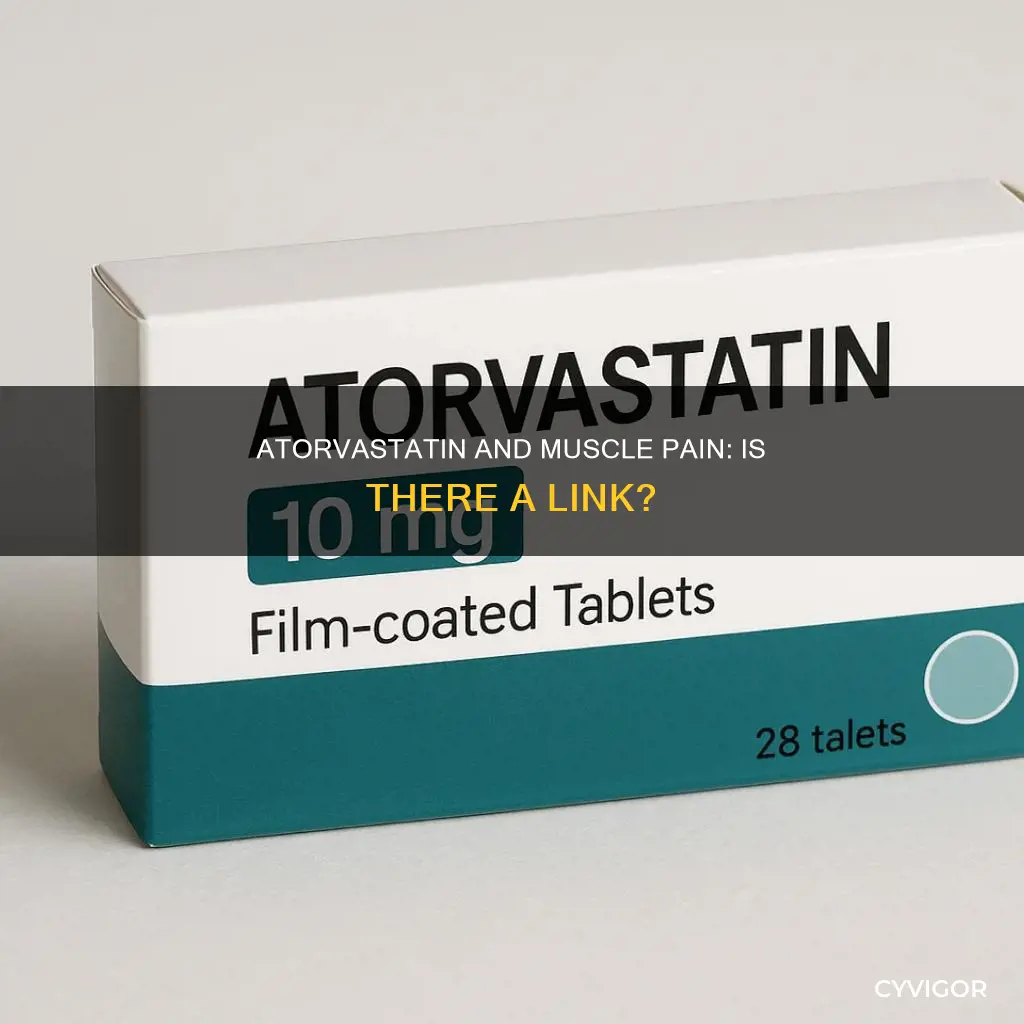 can atorvastatin cause muscle pain