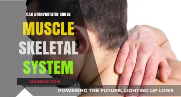 Atorvastatin's Muscular Impact: Skeletal System Side Effects