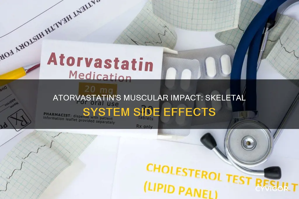 can atorvastatin cause muscle skeletal system
