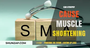 Atrophy's Impact: Muscle Shortening and You
