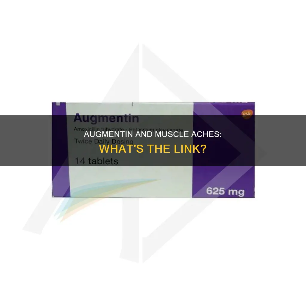 can augmentin cause muscle aches