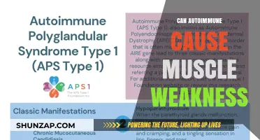 Autoimmune Disorders: Muscle Weakness and Fatigue