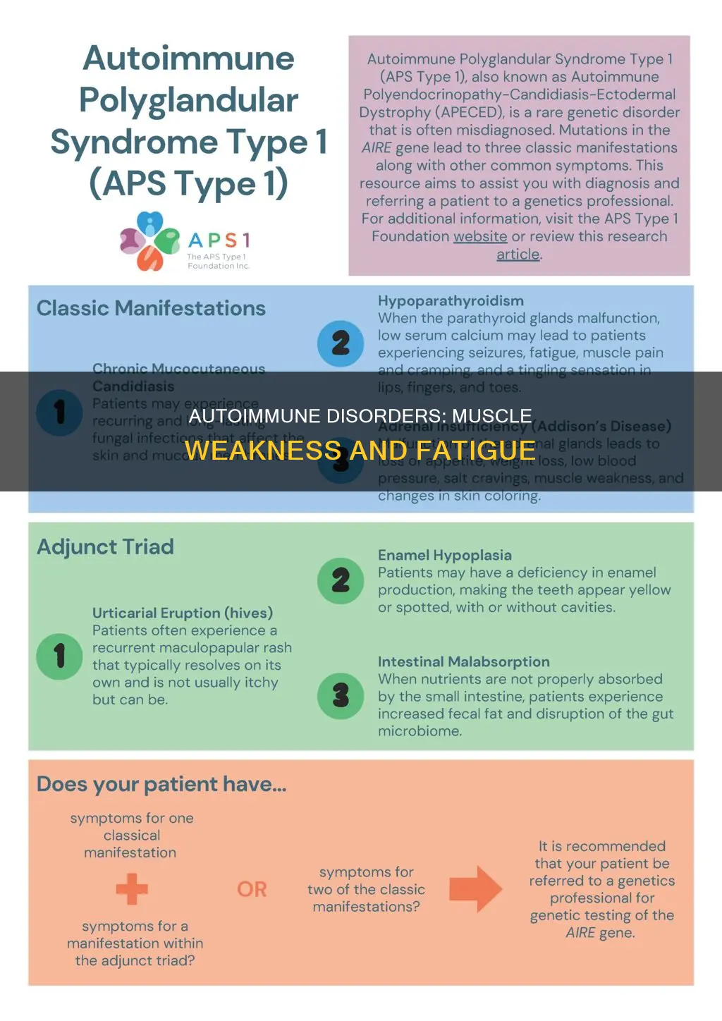 can autoimmune cause muscle weakness