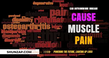 Autoimmune Diseases: Muscle Pain and Its Causes