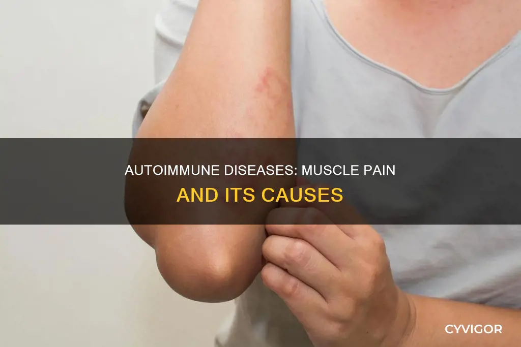 can autoimmune disease cause muscle pain