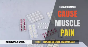 Azithromycin and Muscle Pain: What's the Link?