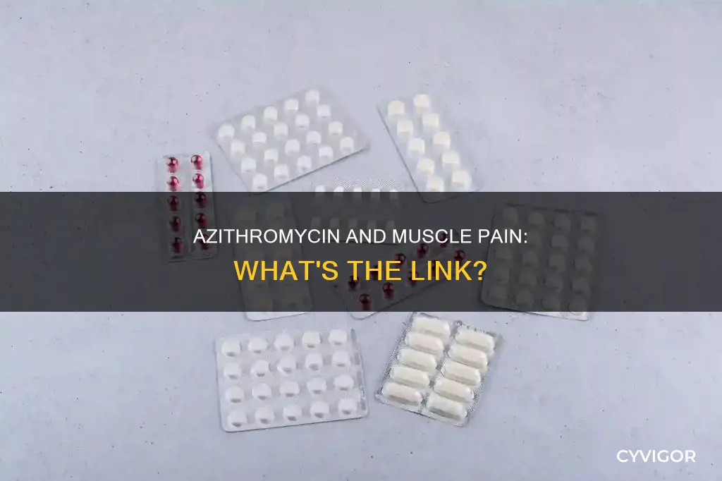 can azithromycin cause muscle pain