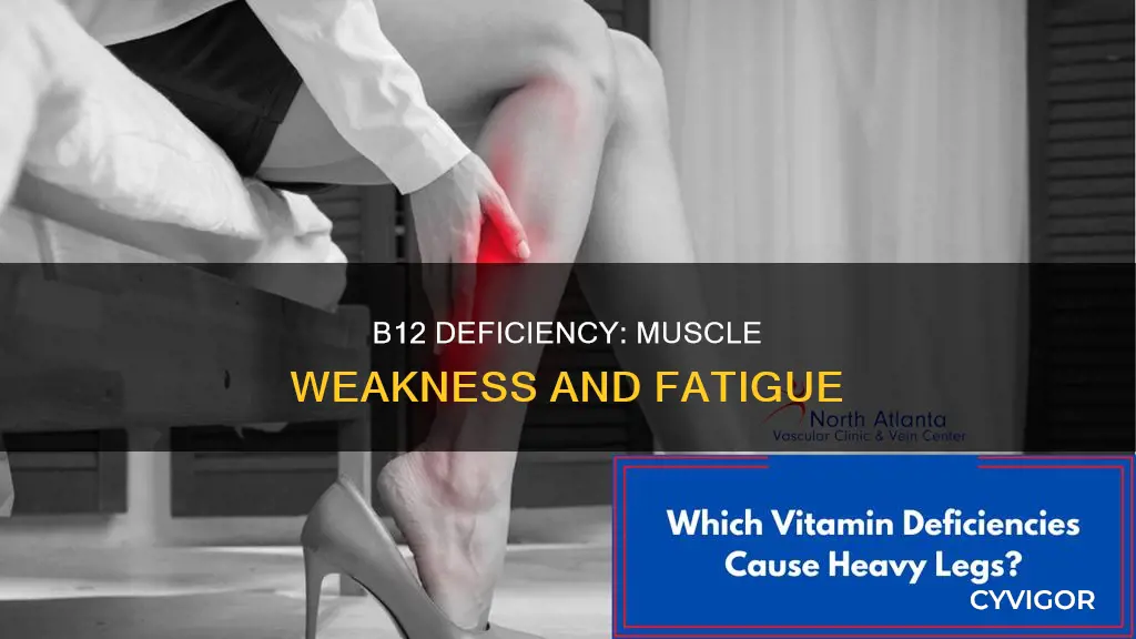 can b12 cause muscle weakness