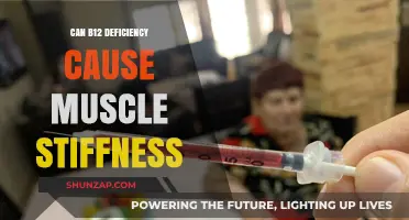 B12 Deficiency: Muscle Stiffness and Pain