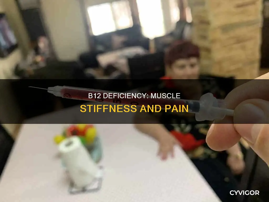 can b12 deficiency cause muscle stiffness
