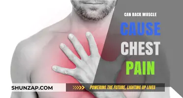 Back Muscle and Chest Pain: What's the Connection?