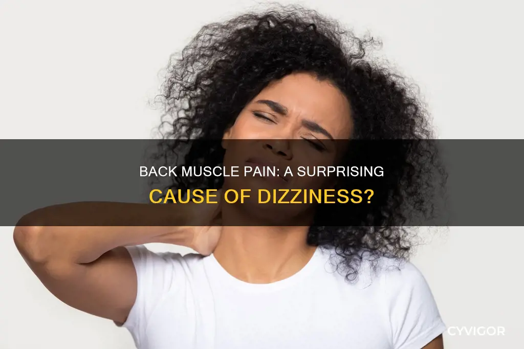 can back muscle pain cause dizziness