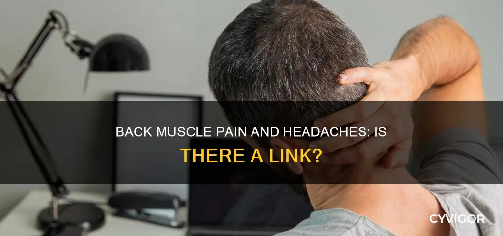 can back muscle pain cause headaches