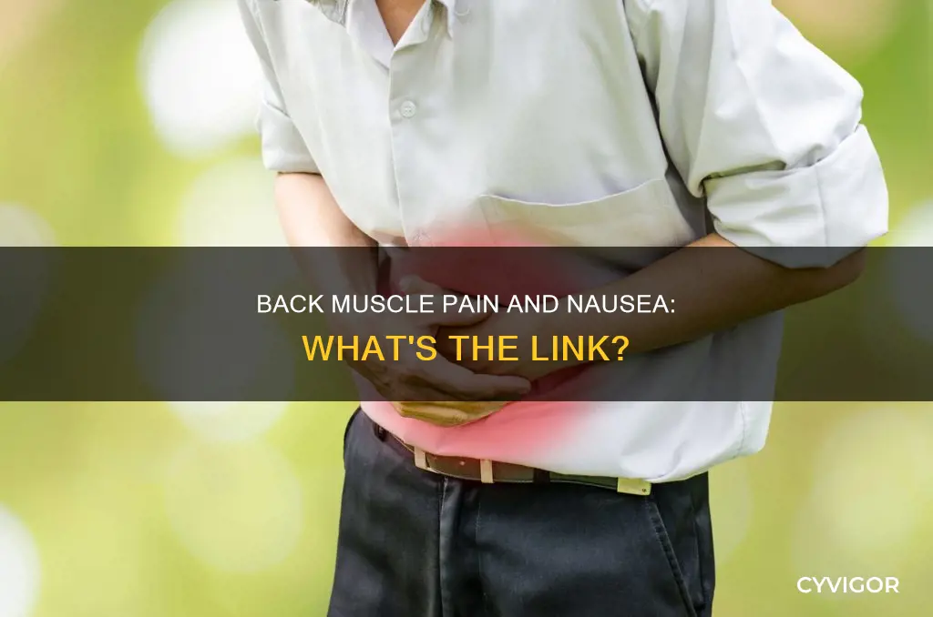 can back muscle pain cause nausea