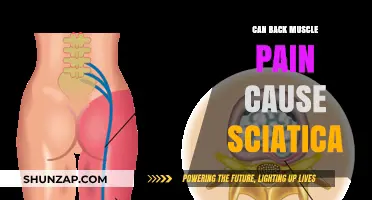 Back Muscle Pain and Sciatica: What's the Connection?