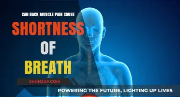 Back Muscle Pain: Can It Cause Breathing Problems?