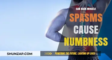 Back Spasms and Numbness: What's the Connection?