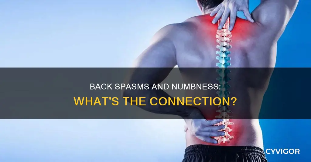 can back muscle spasms cause numbness