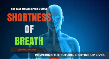 Back Spasms: Can They Cause Breathing Problems?