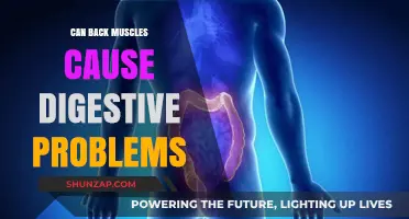 Back Muscle Pain: A Surprising Cause of Digestive Issues