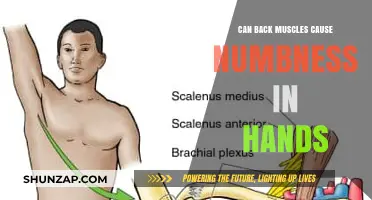 Back Muscle Numbness: How It Affects Your Hands