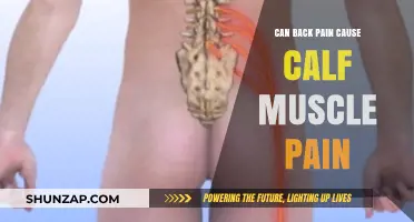 Back Pain and Calf Muscle Pain: What's the Link?