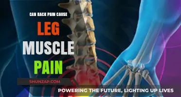Back Pain and Leg Muscle Pain: What's the Link?