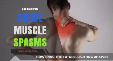 Back Pain and Muscle Spasms: What's the Connection?