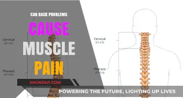 Back Problems: Unraveling the Mystery of Muscle Pain