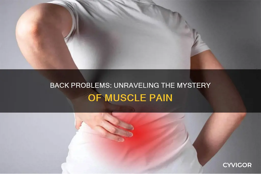 can back problems cause muscle pain