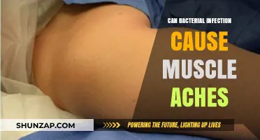 How Bacteria Cause Muscle Aches and Pains