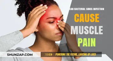 Muscle Pain and Sinus Infections: Is There a Link?