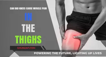 Knee Pain and Thigh Muscle Aches: What's the Link?