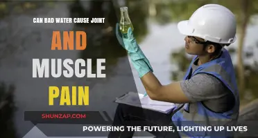 How Drinking Water Affects Joint and Muscle Pain