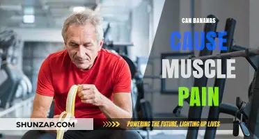 Bananas and Muscle Pain: Friend or Foe?