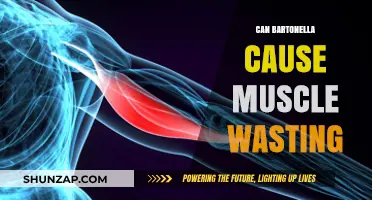 Bartonella's Impact: Muscle Wasting and Weakness
