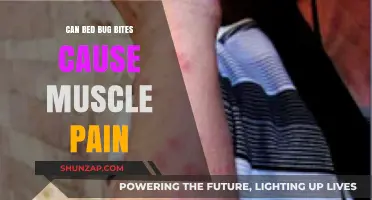 Bed Bug Bites: Muscle Pain and Other Symptoms