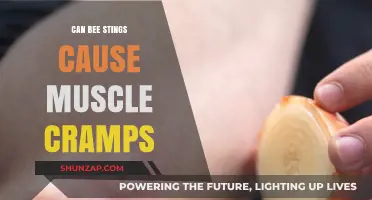 Bee Stings and Muscle Cramps: Is There a Link?
