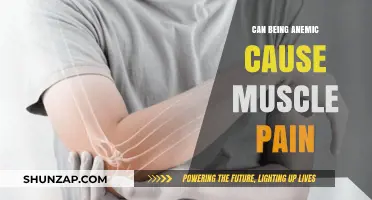Anemia and Muscle Pain: What's the Link?
