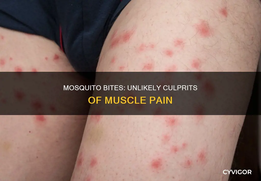 can being bitten by a mosquito cause muscle pplains
