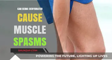 Dehydration and Muscle Spasms: Is There a Link?
