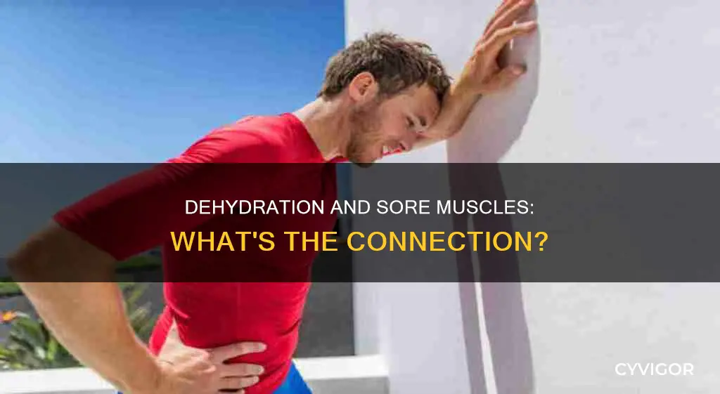 can being dehydrated cause sore muscles