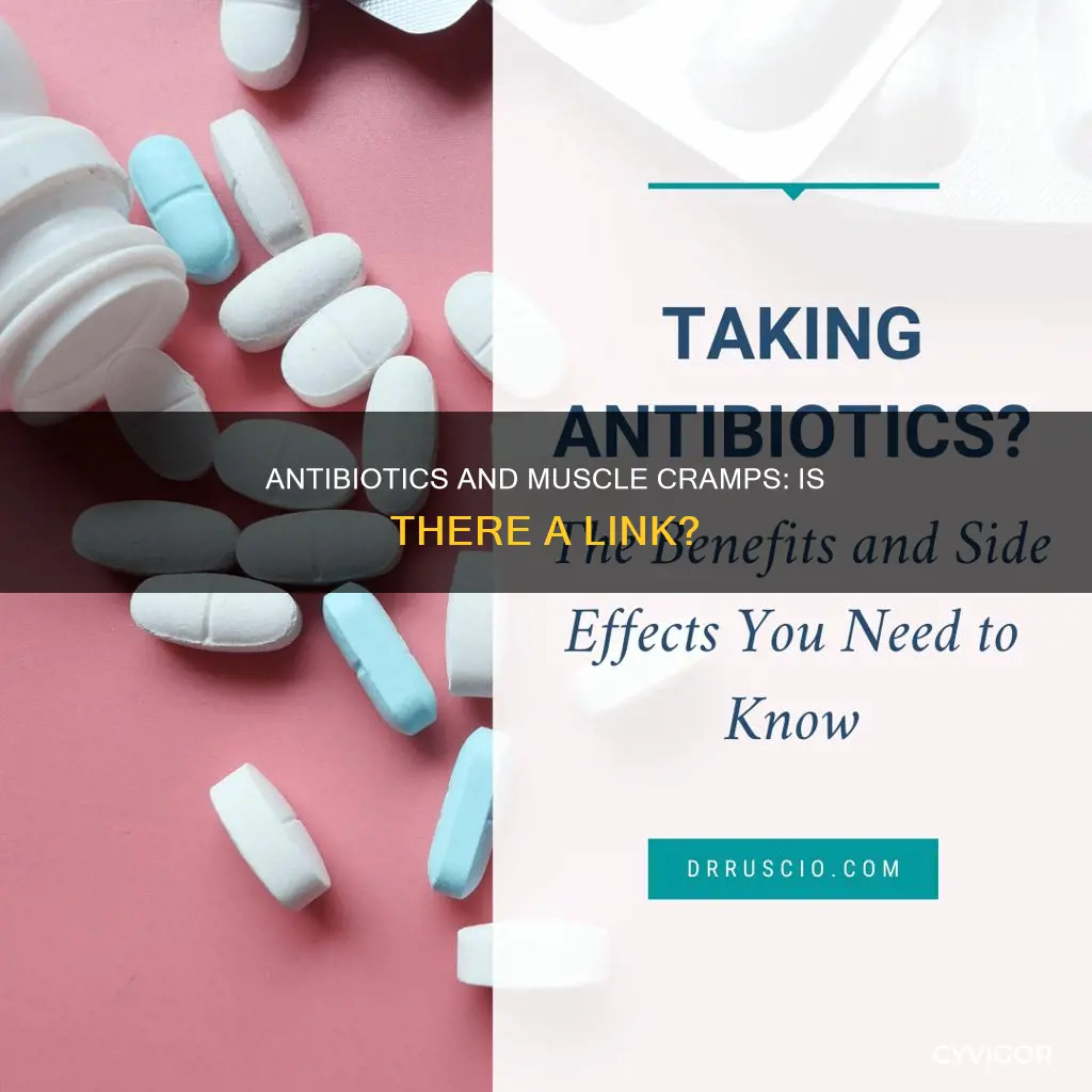 can being high dose of anibiotics cause muscle cramps