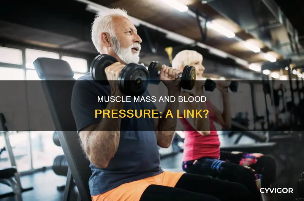 can being muscle cause high blood pressure