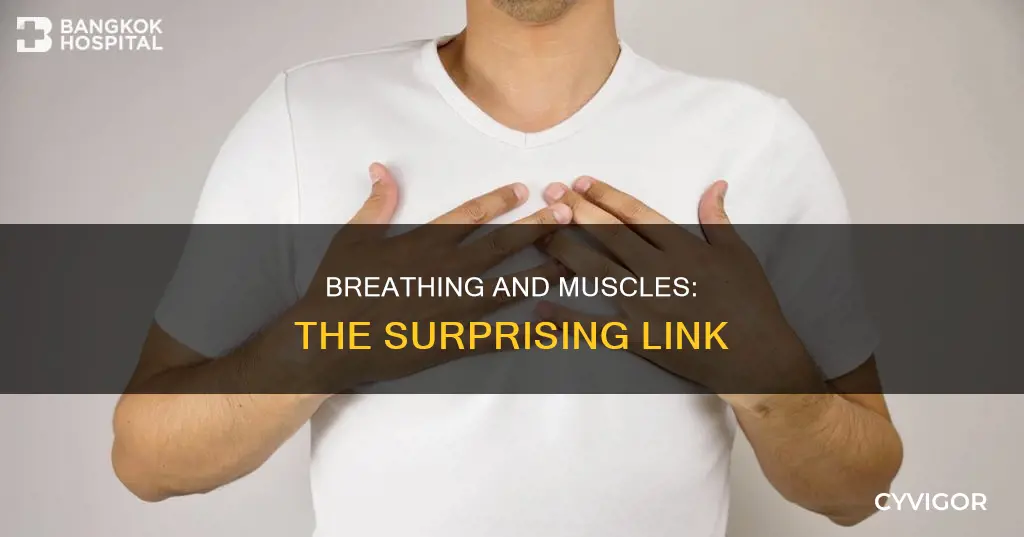 can being muscle cause shortness of breath