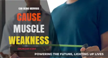 Nervous System and Muscles: A Weak Link?