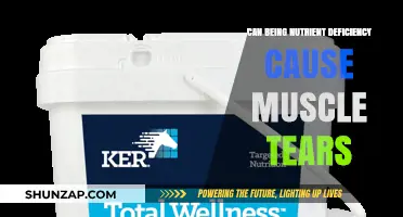Nutrient Deficiency: A Risk Factor for Muscle Tears?